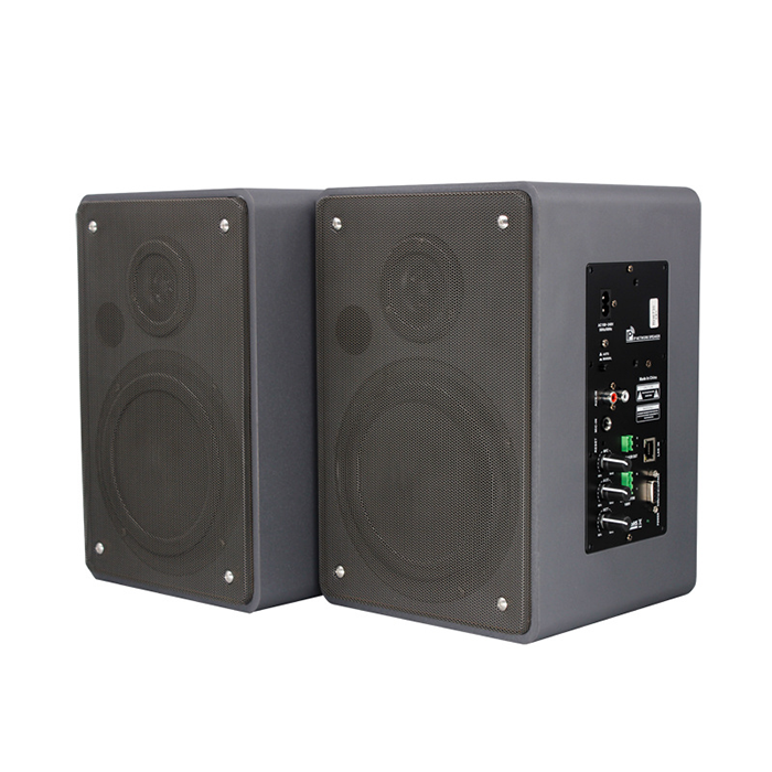 ZGR7530  5.25寸低音25W木質網絡音箱一主一副